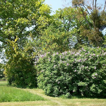 Chateau Des Lutz Daon Esterno foto