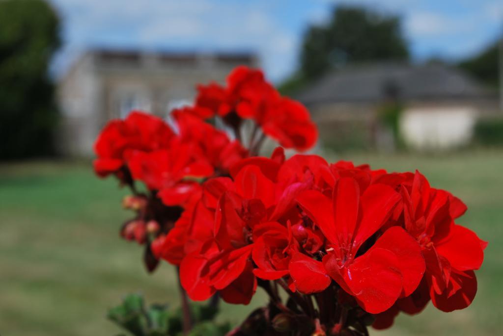 Chateau Des Lutz Daon Esterno foto