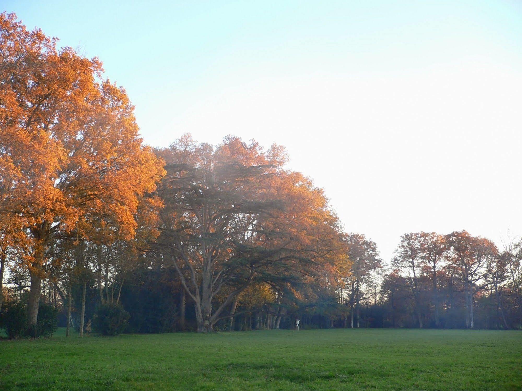 Chateau Des Lutz Daon Esterno foto